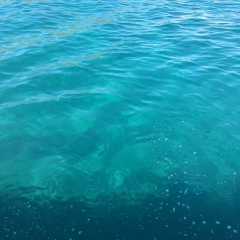 Настя Митражик