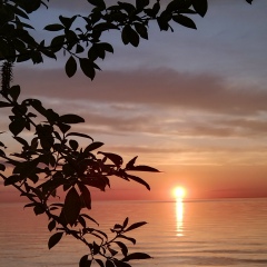 Ирина Поварова, 01.01, Санкт-Петербург