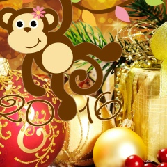 Хава Акаева, 11.09.1982