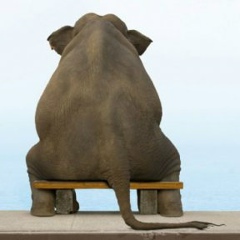 Bugaie Dr, 05.12, Birmingham