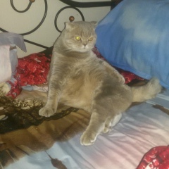 Елена Городничева, 07.04, Москва