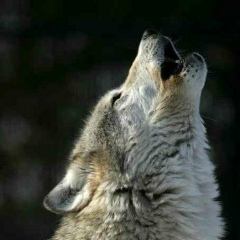 Иван Иванов, 08.04, Москва