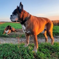 Константин Комаров, 28.06.1970, Санкт-Петербург