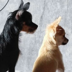 Ольга Редькина, 29.08, Волгоград