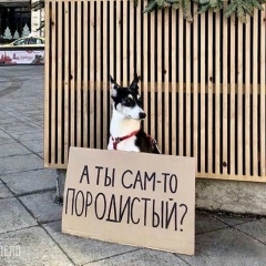 Альбек Аронов, 07.12, Уральск