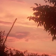 Алексей Шевченко, 05.10.2002, Тирасполь