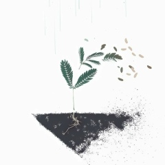 Айдана Ауезханова, 20.07.1904, Алматы