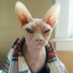 Глеб Токарев, 17.09.1981, Санкт-Петербург