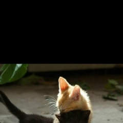 Татьяна Курчавая, 23.02.1986