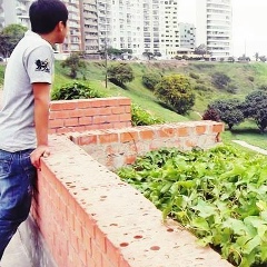 Ricardo Palacios, 22.01.1998