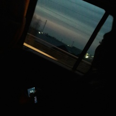 Diya Danish, 26.06.1925, Ташкент