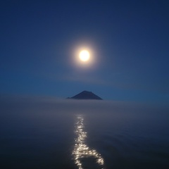 Андрей Галустов, Москва