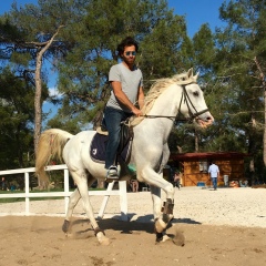 Omer Gungor, Antalya