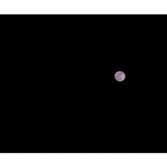 Асель Тирижанова, 30.05, Алматы