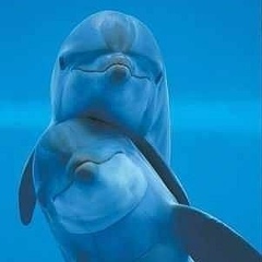 Салтанат Закарина, 18.11, Freeport