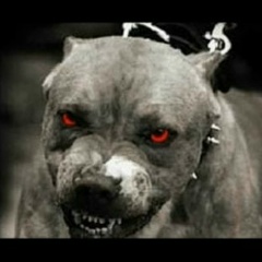 Данила Гавриленко, 26.11.1981, Санкт-Петербург