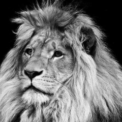 Саркис Галстян, Москва