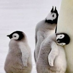 Елена Благодарова, 09.03, Севастополь