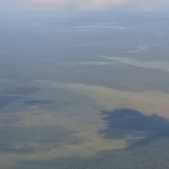 Севастьян Шестаков, 10.01