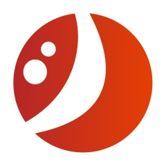 Владимир Соловьёв, 15.02.1981