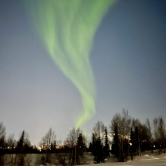 Наталья Витязева