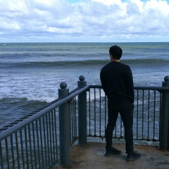 Николай Ли, Красноармейск