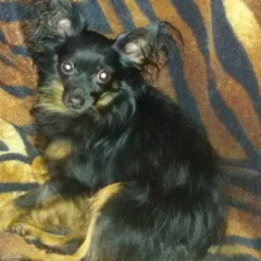 Татьяна Секачева, 22.08.1981, Гатчина