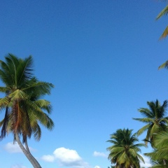 Инна Середа, 19.10.2011, Москва