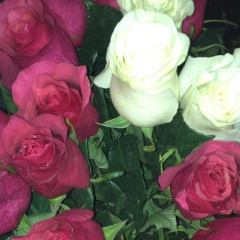 Улжана Абдразакова, 04.02, Шымкент