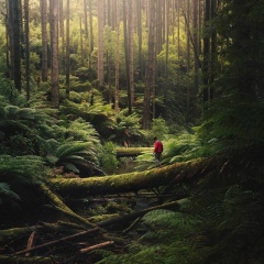 Шоип Абдрахманов, 05.08.1981, Грозный