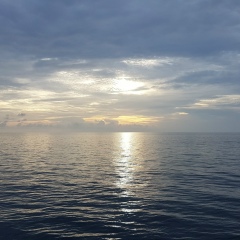 Михаил Баранов, 23.08, Санкт-Петербург