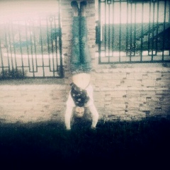 Алёна Емцева, 10.11.2002, Нерюнгри