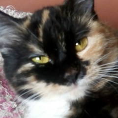 Юлия Волобуева, 19.03