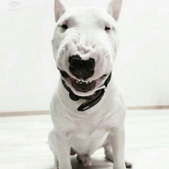 Антон Анатольевич, 07.08.1987, Miami