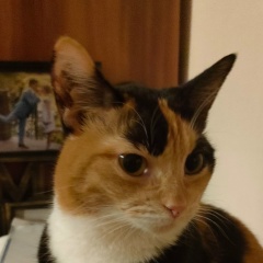 Николай Чумак, 13.04.1977, Санкт-Петербург