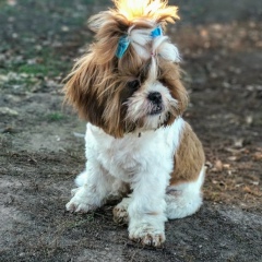 Евгения Филюкова, 27.12.1979, Орёл