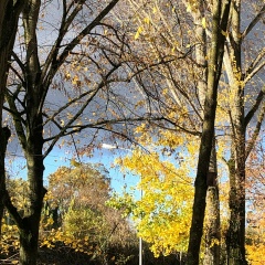 Светлана Фахрутдинова, 30.01.1981, Germersheim