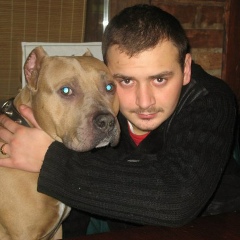 Богдан Черноморец