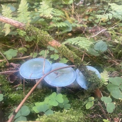 Светлана Гайсанюк, 15.05.1986, Москва