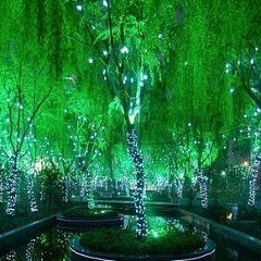 Нурланбек Мамбетов, 10.02.1985, Кёк-Джангак