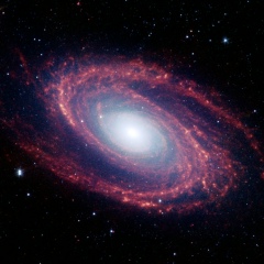 Адиль Калиев, 15.04, Алматы