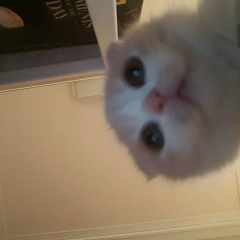 Александр Грибанов, 30.04