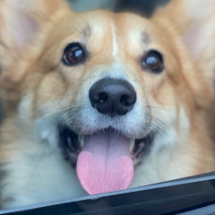 Мари Женераль, 02.06, Москва