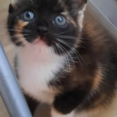 Евгений Чебельков, 20.10.1982, Калининград