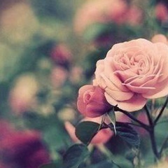 Милана Сипсуева, 18.07.1990, Грозный