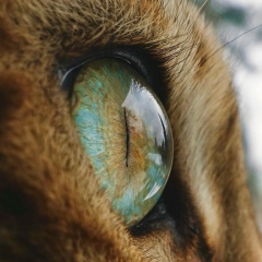 Тимур Насибуллин, 18.04.1983, Казань