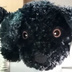 Елизавета Несмелова, 30.07.1979, Москва