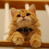 Angelika A, Москва