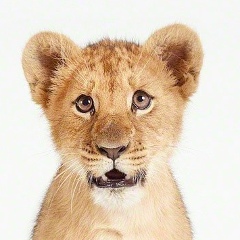 Михаил Семёнычев, 27.06, Одинцово