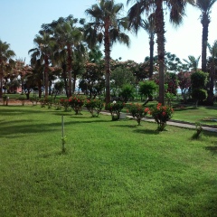 Юлия Морозюк, 15.03.1986, Киев